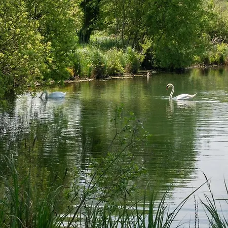Les Reflets De La Bresle Holiday home
